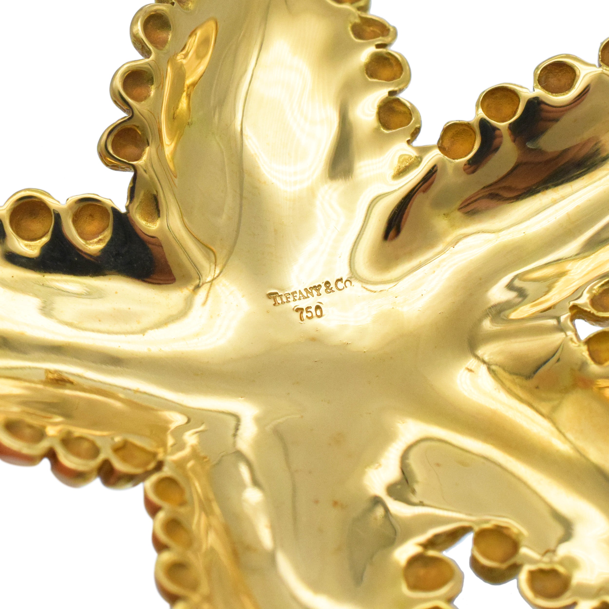 Tiffany & Co. Starfish Brooch In 18k Yellow Gold