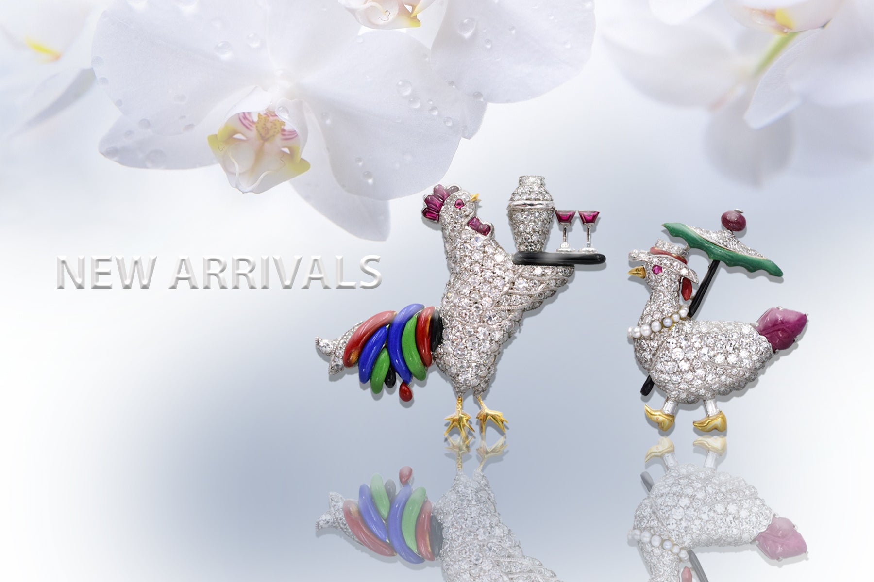 New Arrivals