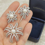 1990's Tiffany & Co. Fireworks Collection Earrings & Brooch Set