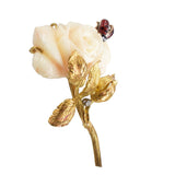 Angel Skin Coral Rose Brooch in Yellow Gold